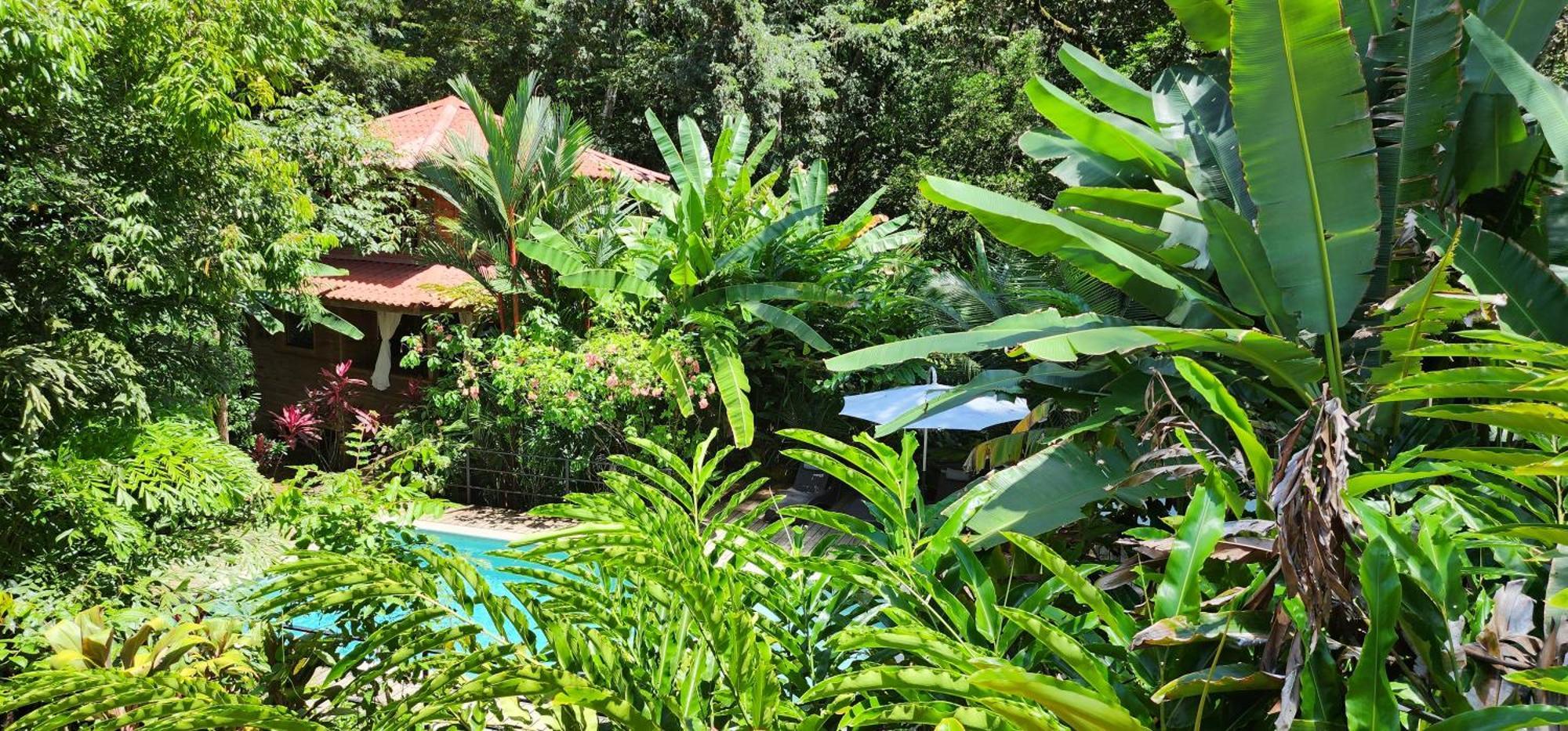Boutique Hotel Y Spa Tangara Azul Охочаль Экстерьер фото